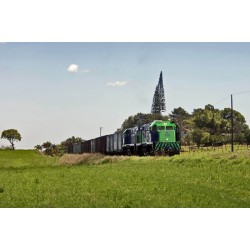 Governo do Paraná pede autorização da Assembleia Legislativa para desestatização da Ferroeste